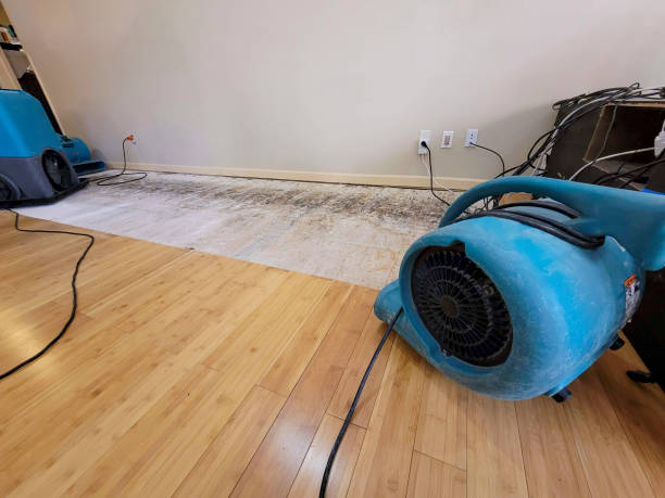 Professional Water Damage Repair technician working in Young America, MN